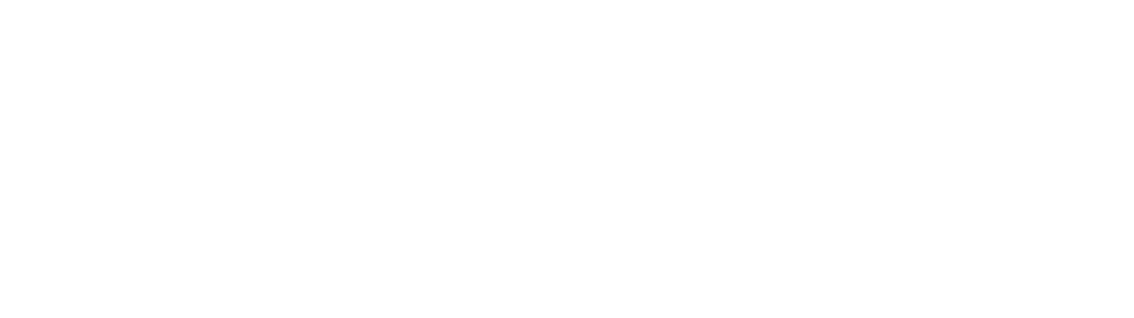 DigitalCraft Logo